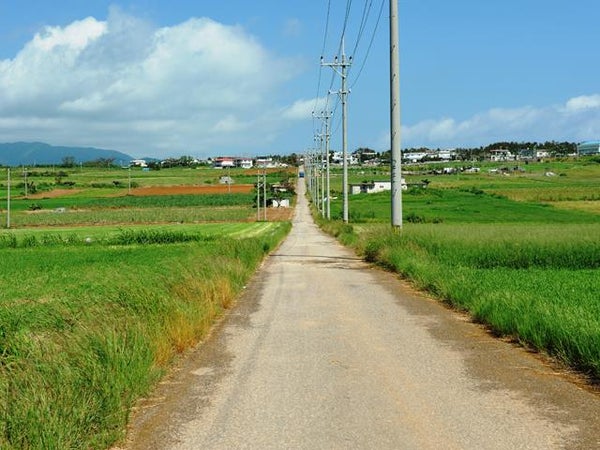 ■2日目 石垣港⇔小浜島往復乗船券付 組合せ自由自在の人気ツアー!石垣島・竹富島・西表島ホテルチョイスプラン4泊5日2